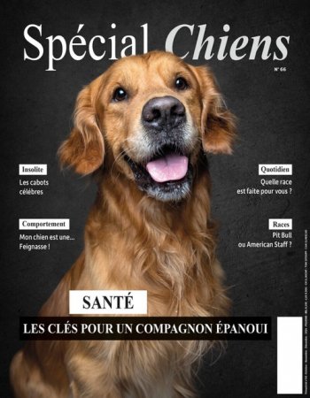 SPECIAL CHIENS